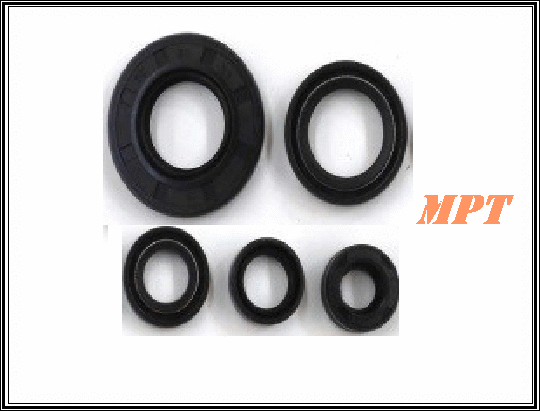 Mct 250 Motor Keçe Takımı