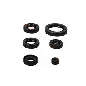 Jupiter 110 Motor Keçe Seti