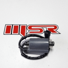 Majesty 250 Ateşleme Bobini