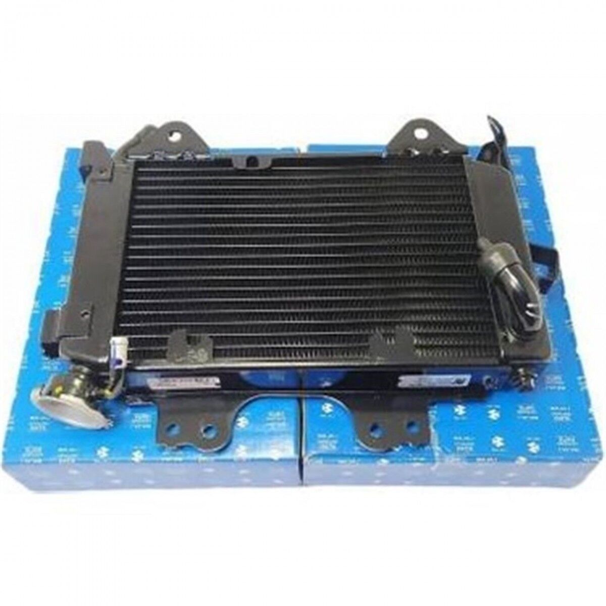 Pulsar Ns 200 Radyatör orjınal