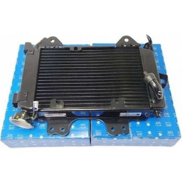 Pulsar Ns 200 Radyatör orjınal