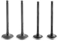 Cygnus x Sübap Seti Oem