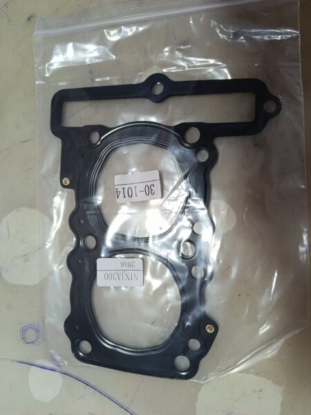 Kawasaki Ninja 300 Silindir Üst Kapak Conta