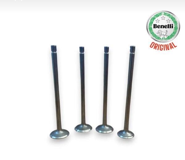 Benelli 125 S Subap seti orj