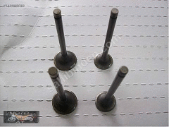 Z 250 SL 250 Sübap Seti 4 Adet