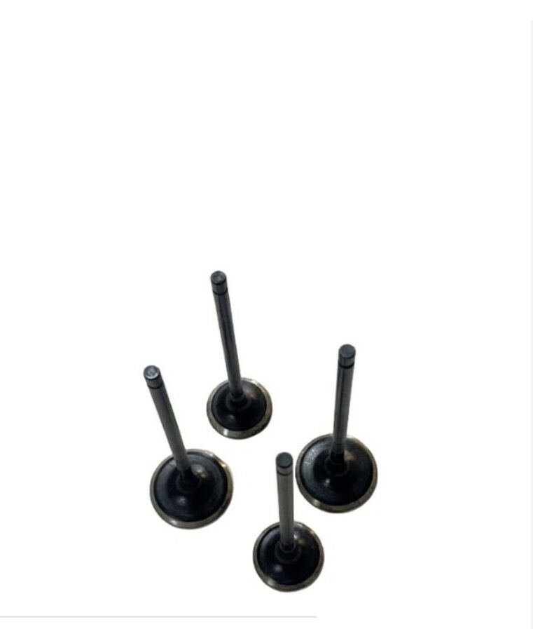 R25 Mt 25 Subap seti sibap set