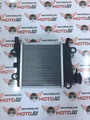 Nmax 125 155 Radyatör