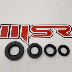 Cygnus Rs 125 Motor Keçe Seti