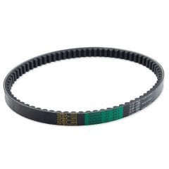 Cygnus L Bando Kayış